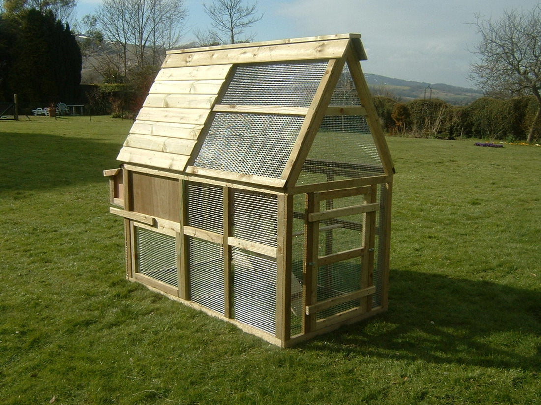 How to Create the Perfect Chicken Run in Your Garden
