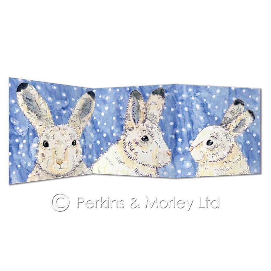Arctic hare card