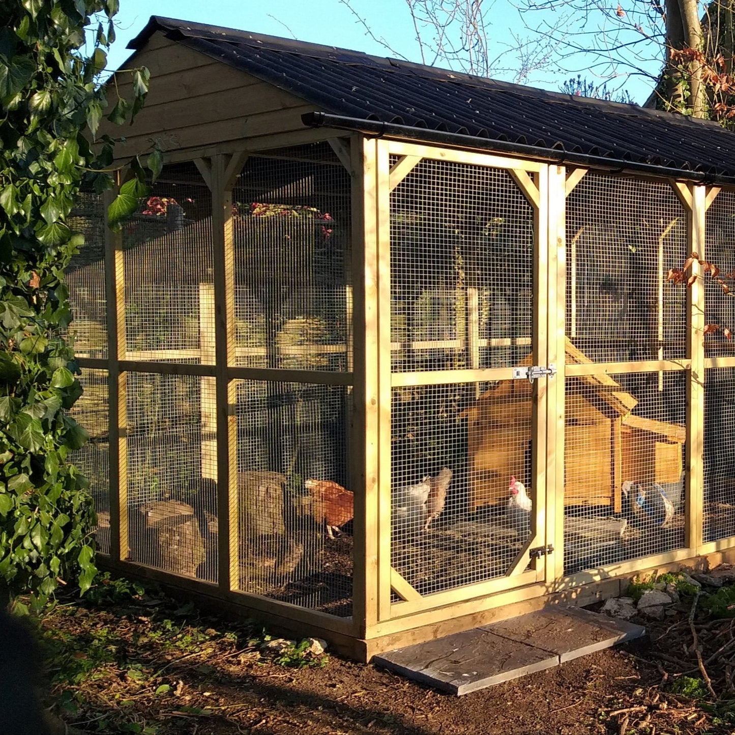 Vyse Arks Enclosed Run | Apex Onduline Roof | 9ft x 6ft | 16 Gauge Wire Mesh