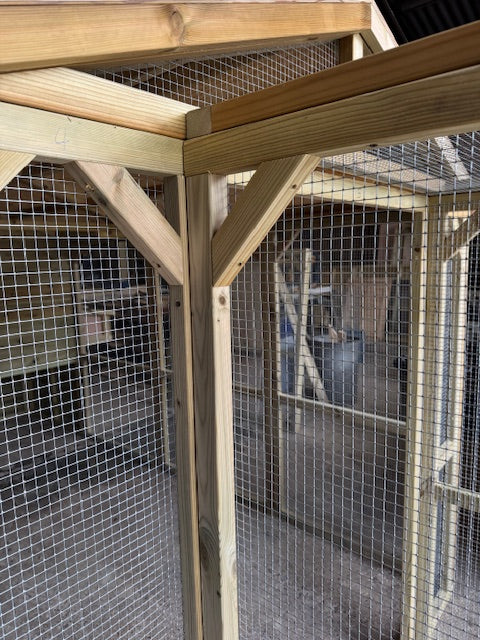 Vyse Arks Catio