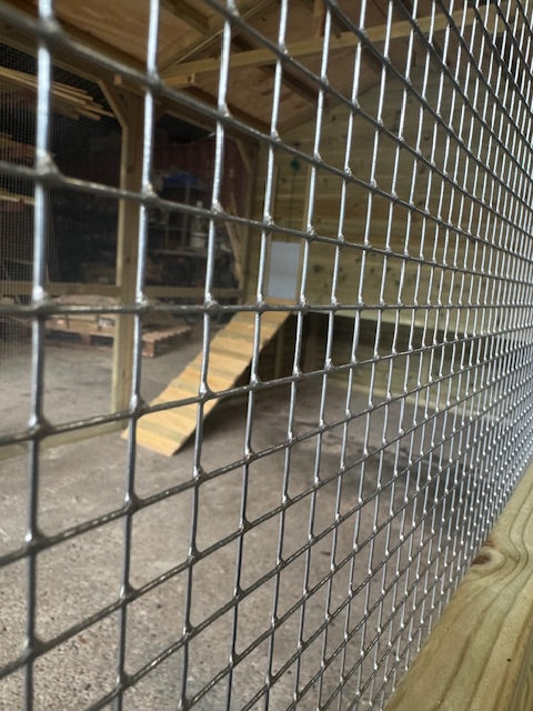 Vyse Arks Catio