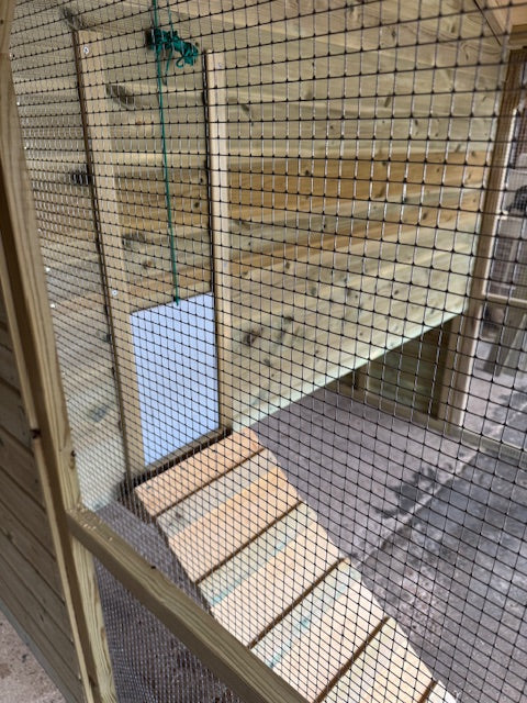 Vyse Arks Catio
