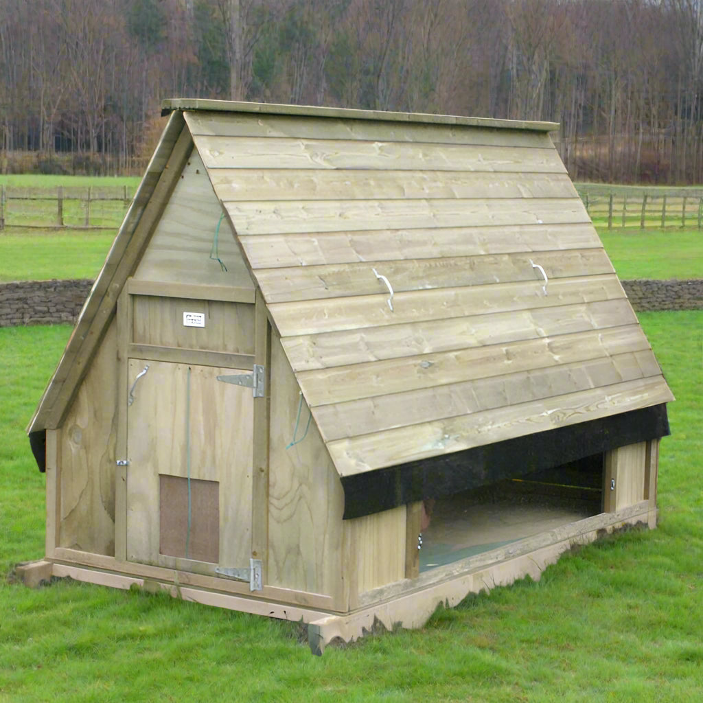 50 bird Chicken House