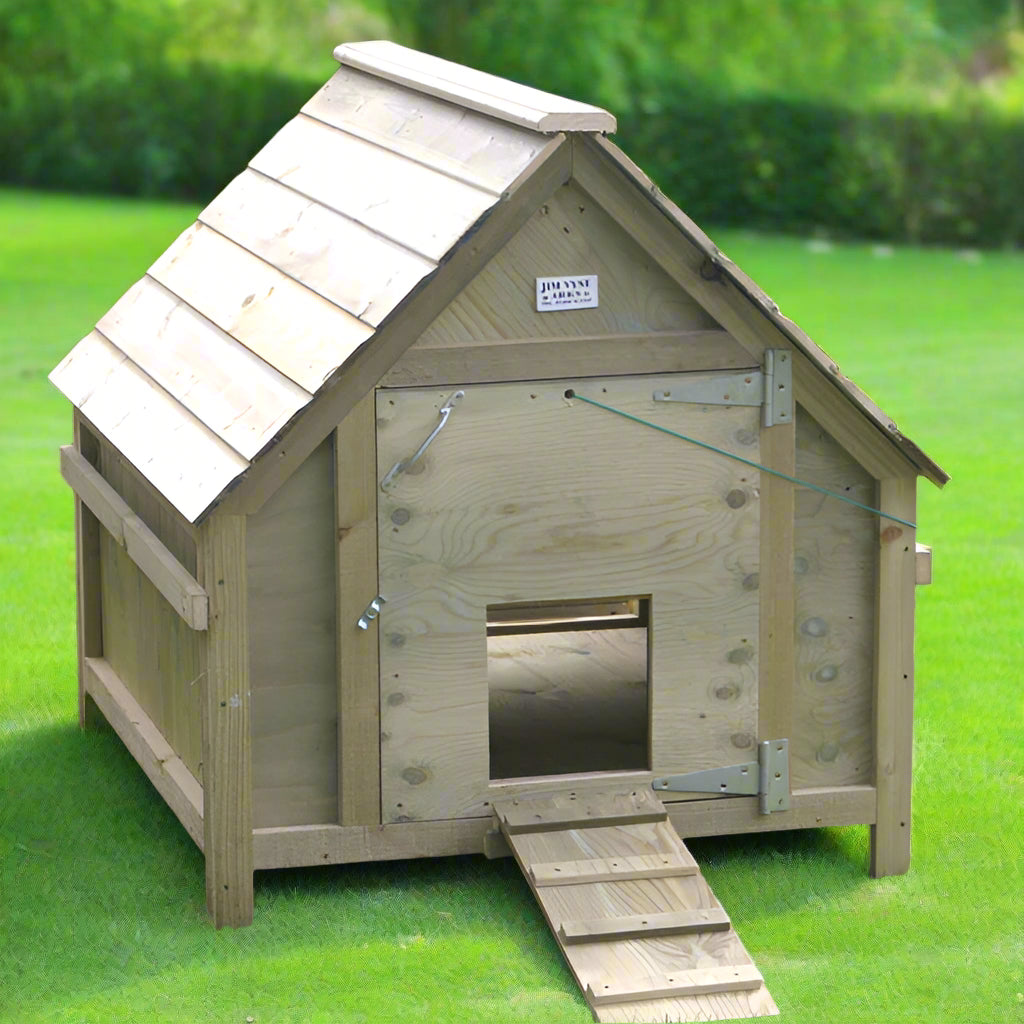 Spacious Duck House | 4ft x 3ft