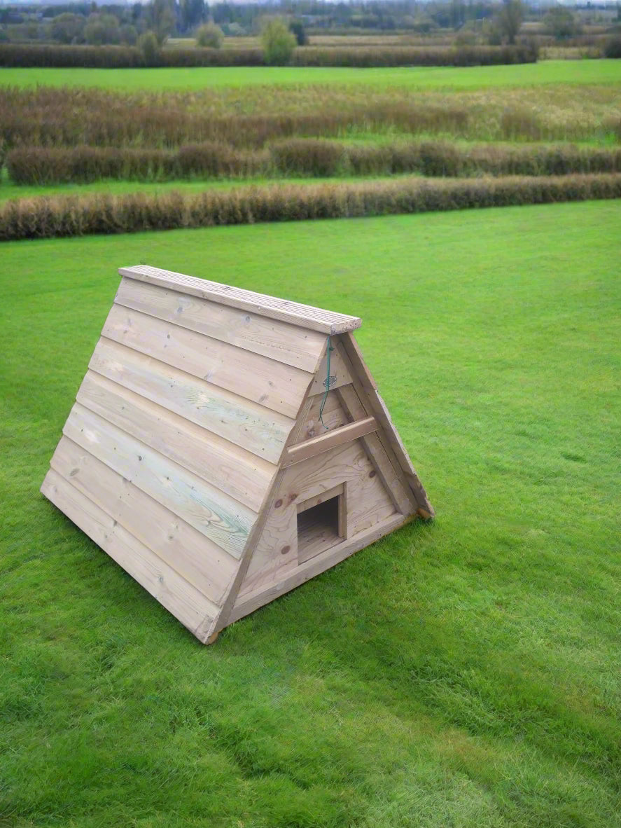 Duck Ark with Drop Down Ramp | 4ft x 3ft