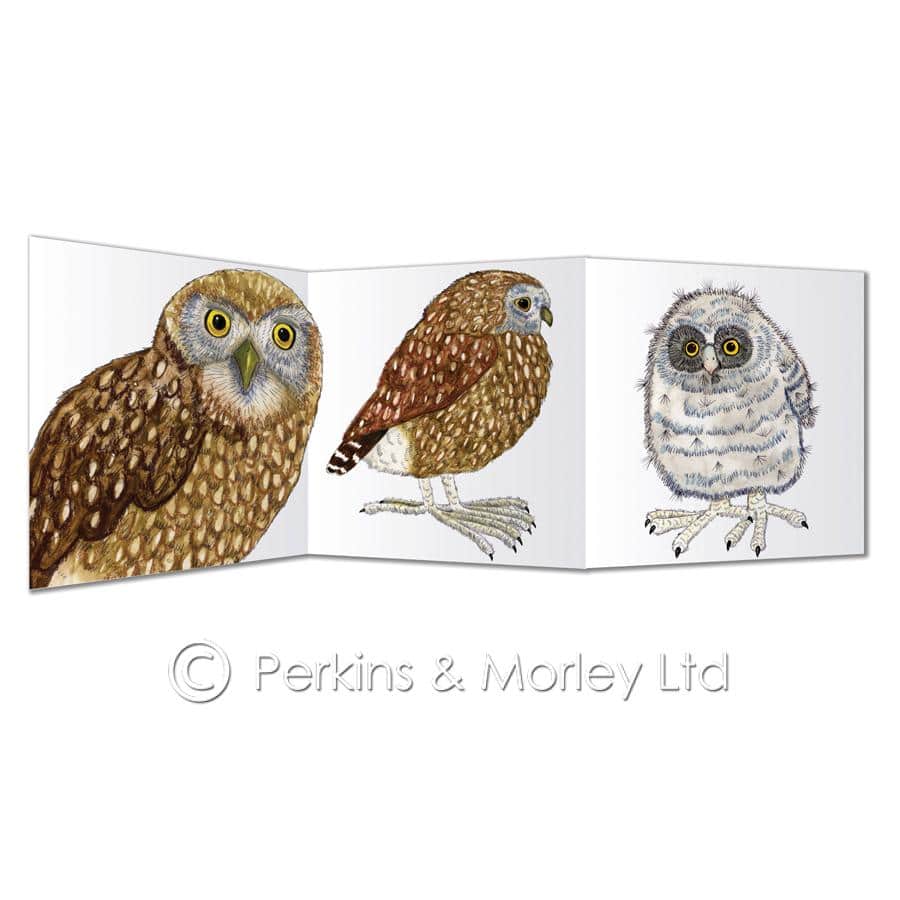 Little owl family card