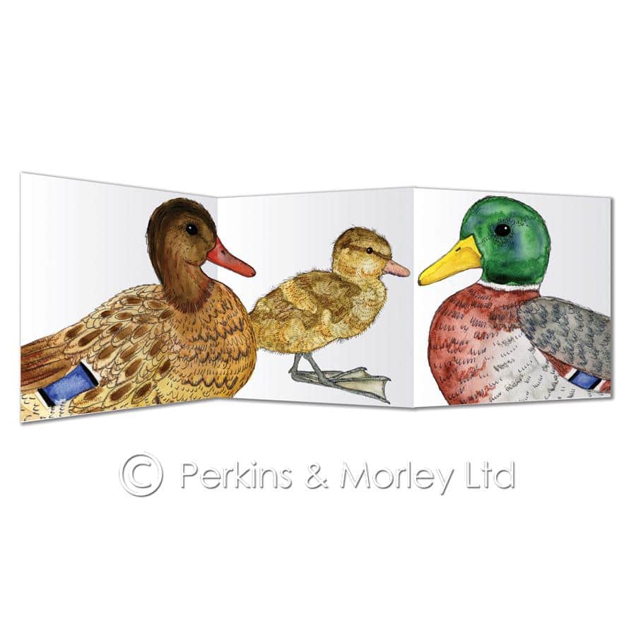 Mallard family card
