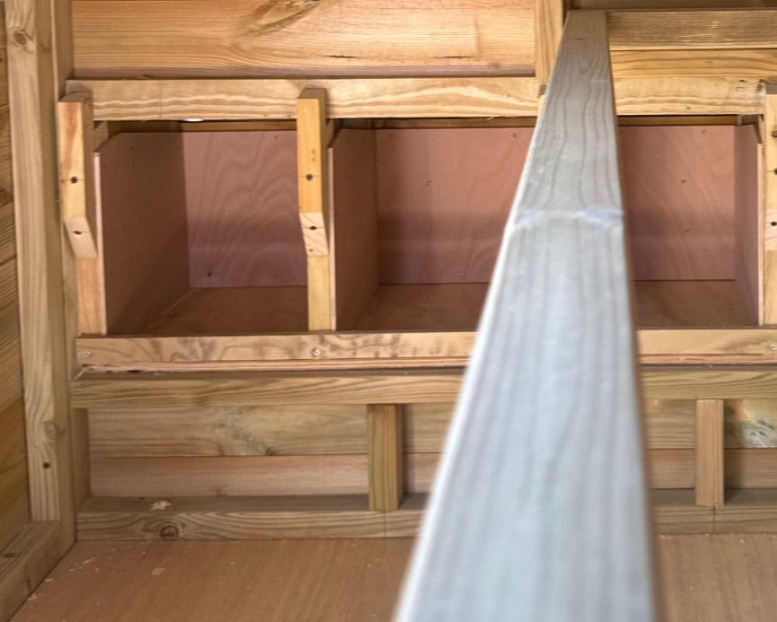 Vyse Arks Poultry Lodge with Run