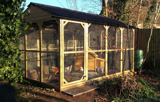 Why Keeping Chickens is an Eggcellent Choice for you Family