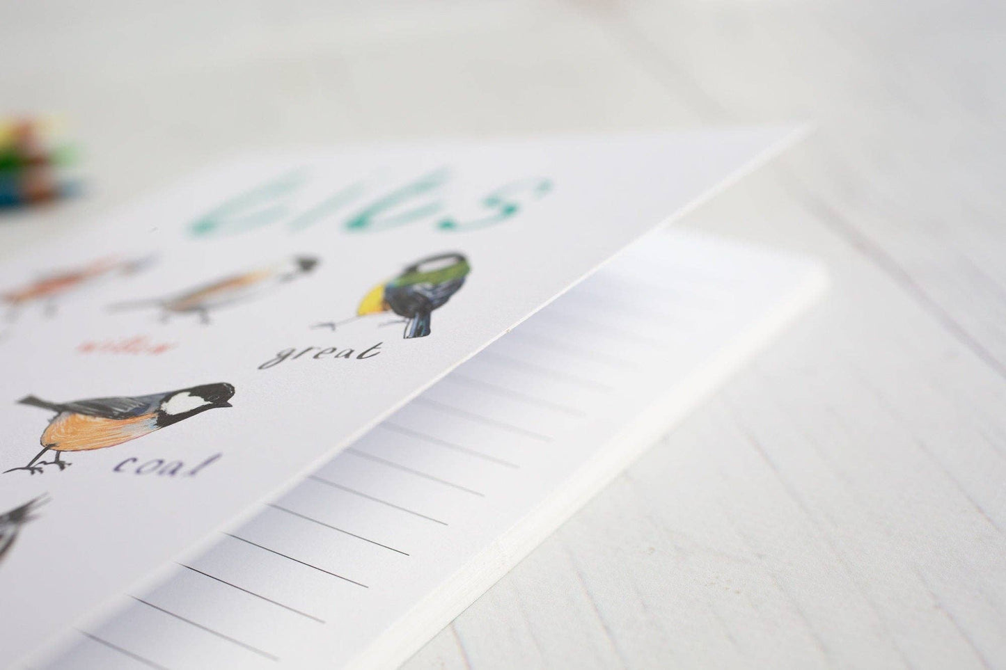 Tits A5 Recycled Bird Notebook