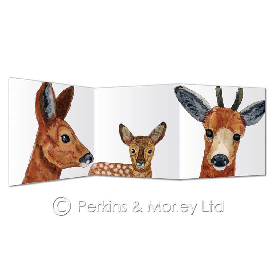Roe deer family card