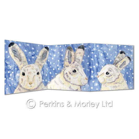 Arctic hare card
