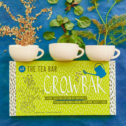The Tea Growbar | Seed Collection | Ready to Grow | Just Add Water