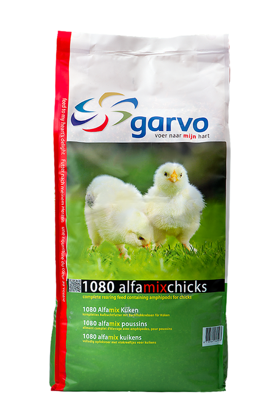 Alfamix Chicks 1080