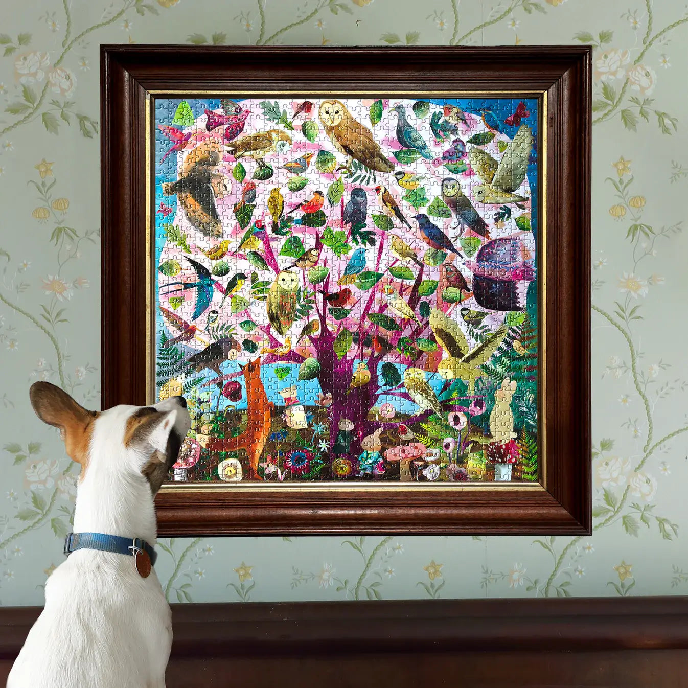 Eeboo | Parliament of Owls 1000 Square