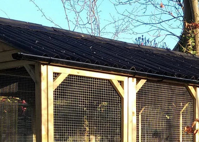 A wire mesh enclosure shown outdoors in a garden with chickens inside and guttering.