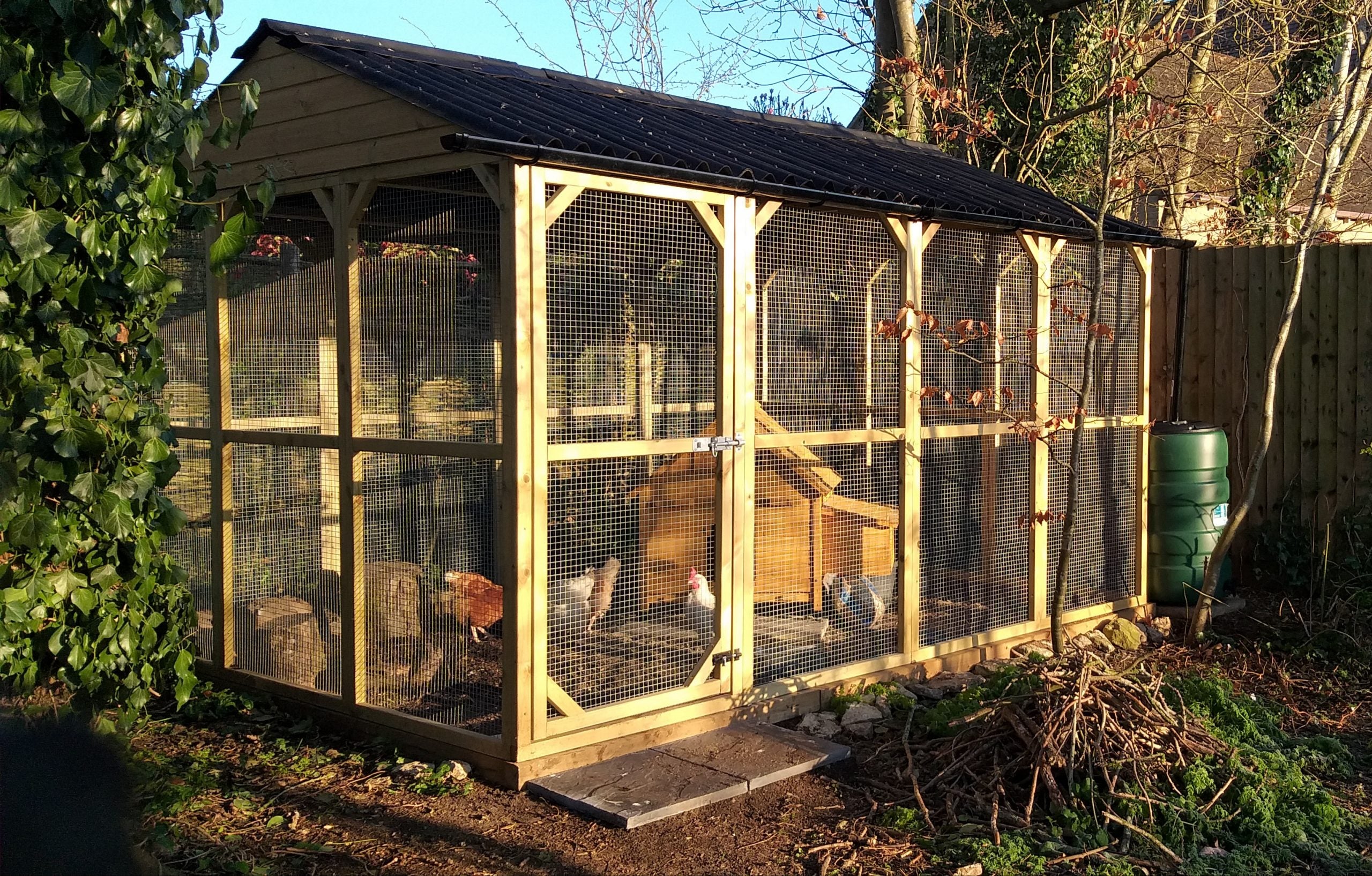 Chicken Enclosure Run 6ft x 12ft Onduline Roof