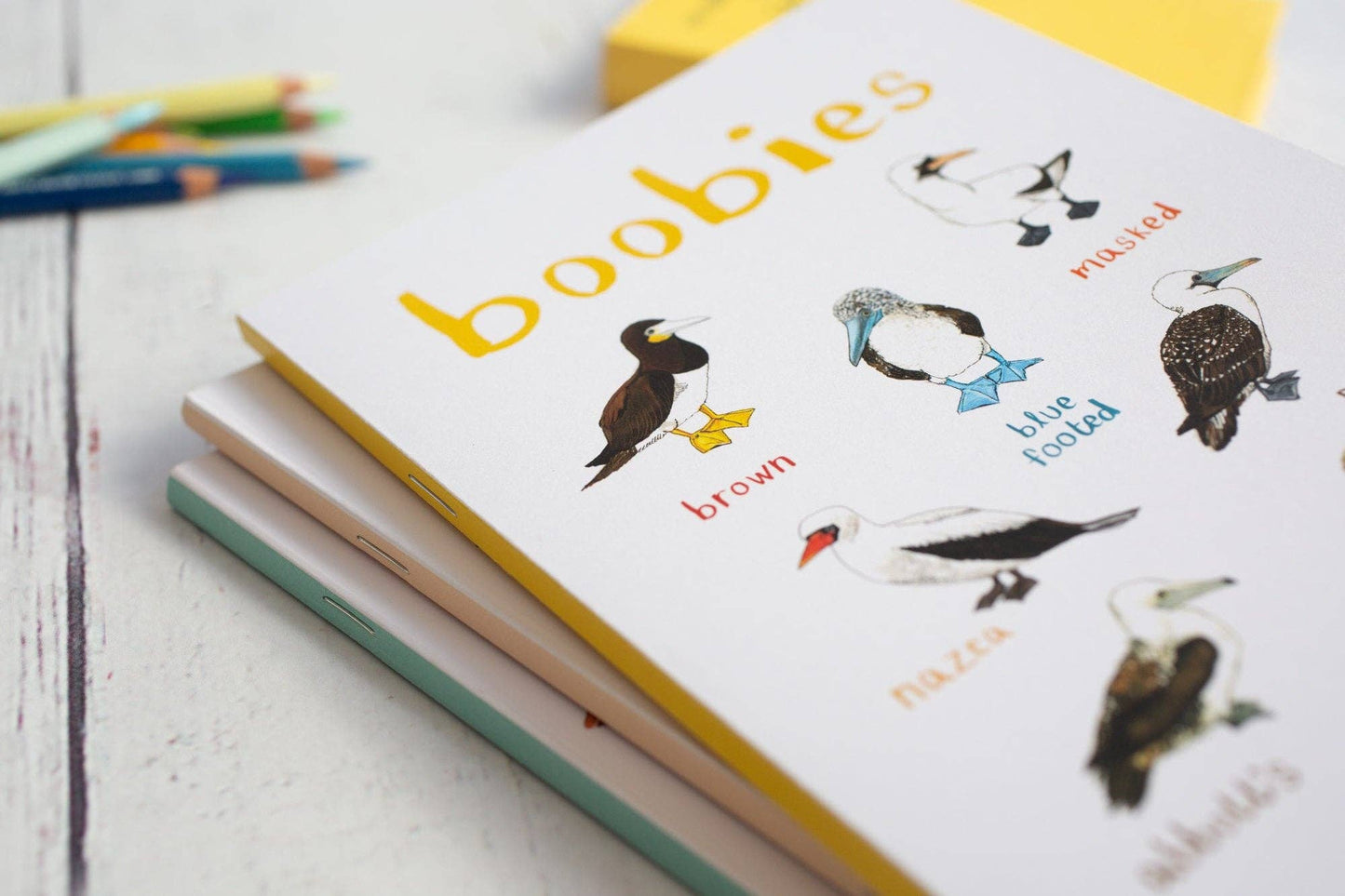 Boobies Recycled Notebook - A5