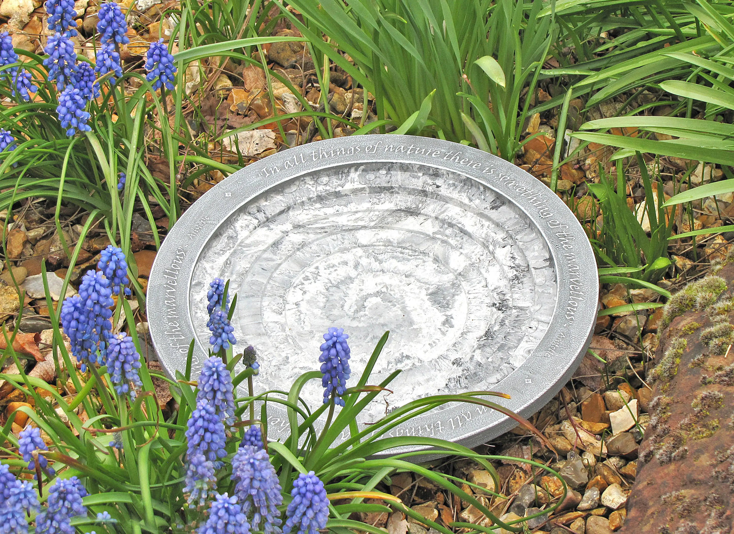 Wildlife World Aristotle Oasis Bird Bath & Drinker