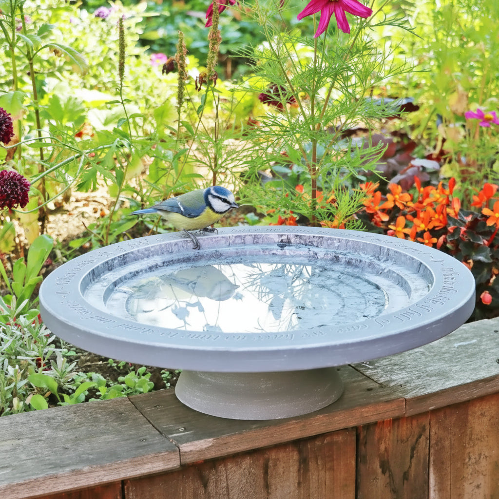 Shenstone Theatre Bird Bath and Drinker
