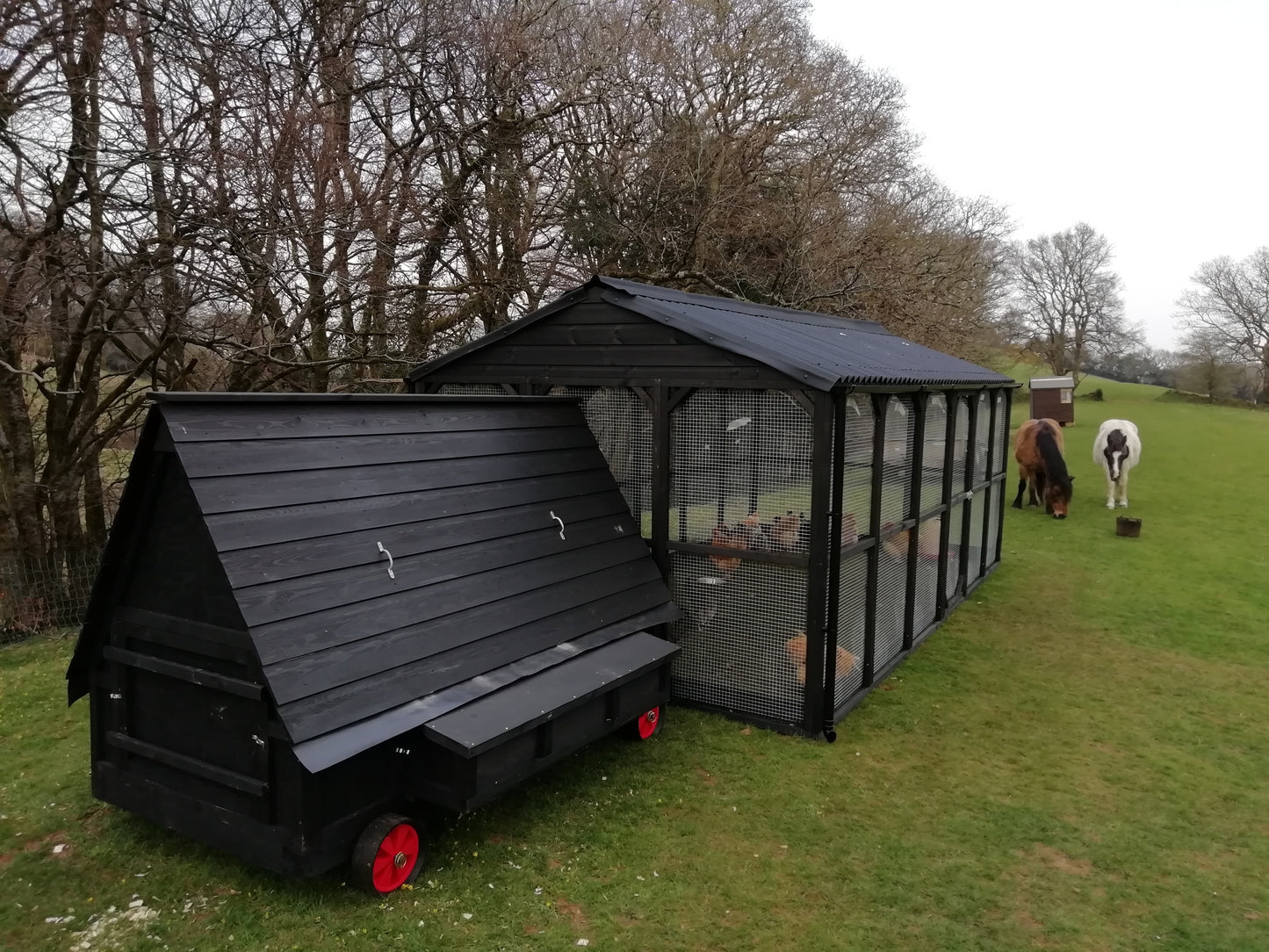 50 bird Chicken House | 8ft x 6ft |  With Double Axle Wheels and HenSafe Door