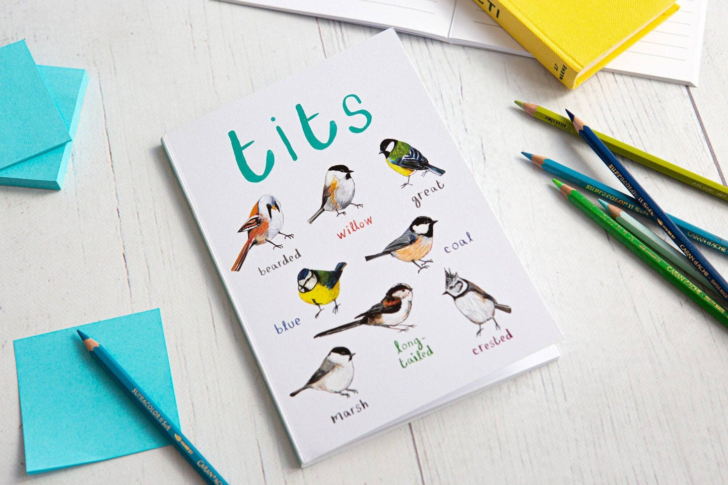 Tits A5 Recycled Bird Notebook