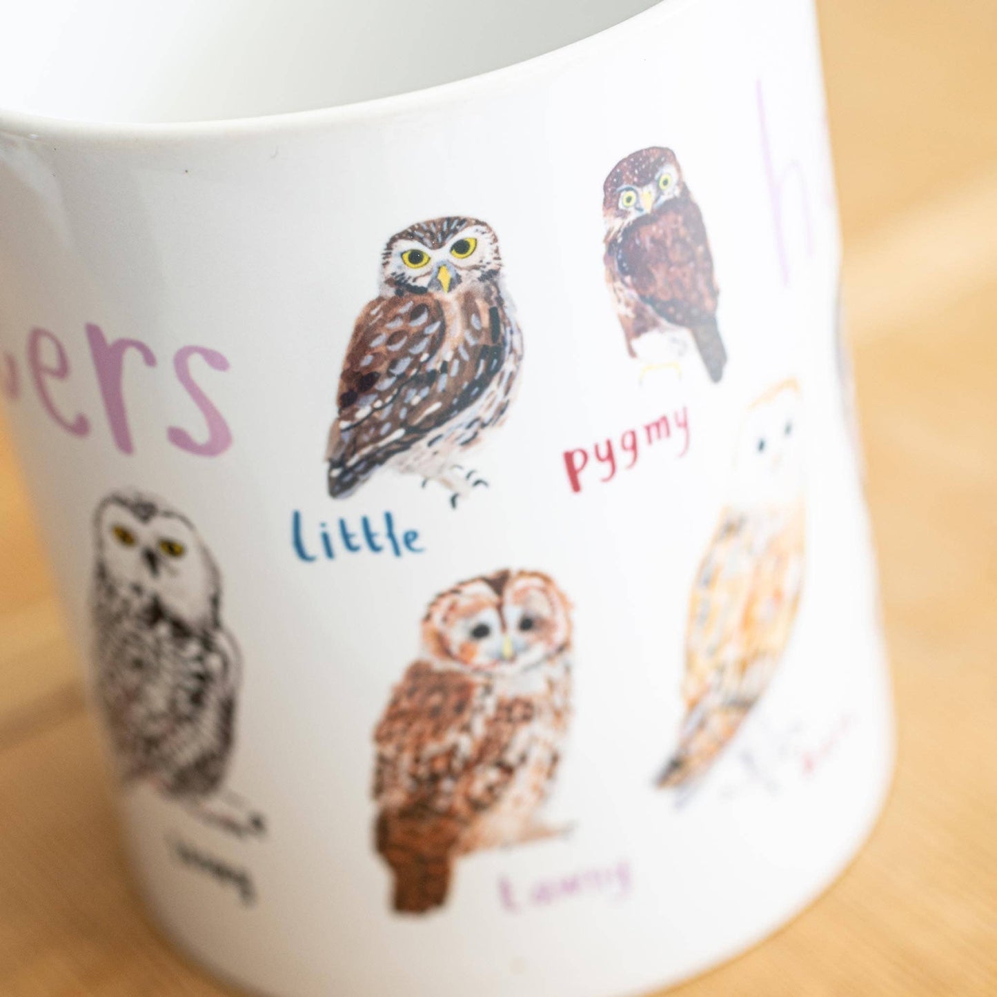 Hooters Ceramic Bird Pun Mug