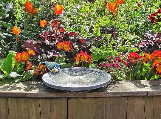 Wildlife World Aristotle Oasis Bird Bath & Drinker