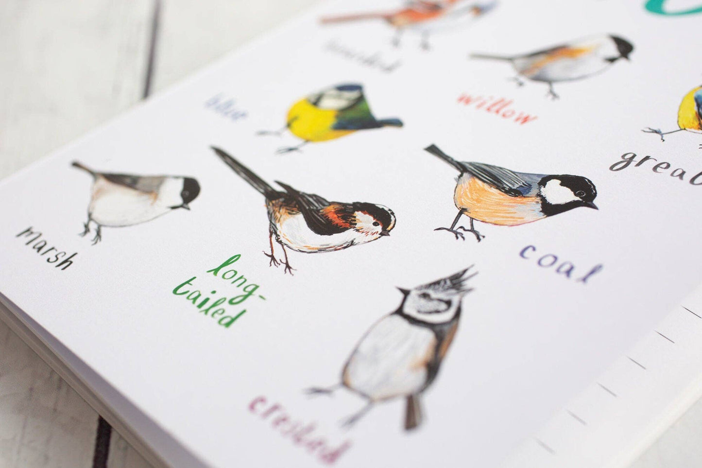 Tits A5 Recycled Bird Notebook