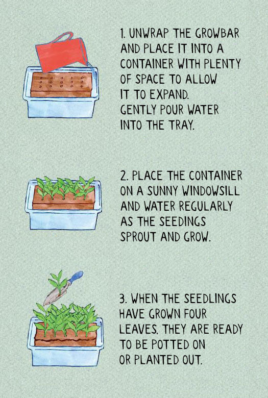 The Edible Flower Growbar | Seed Collection | Ready to Grow | Just Add Water