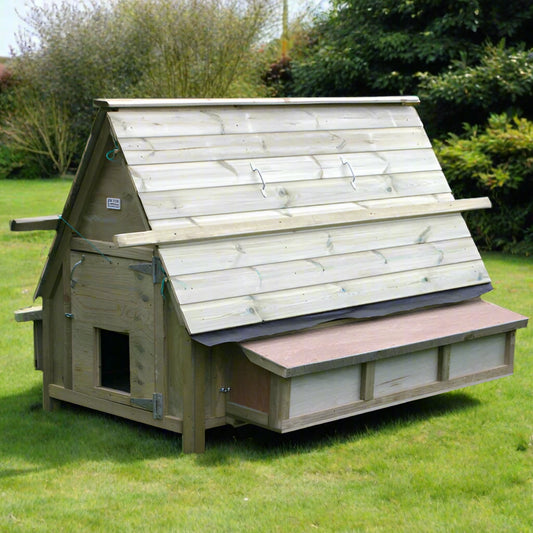 30 bird Chicken House 