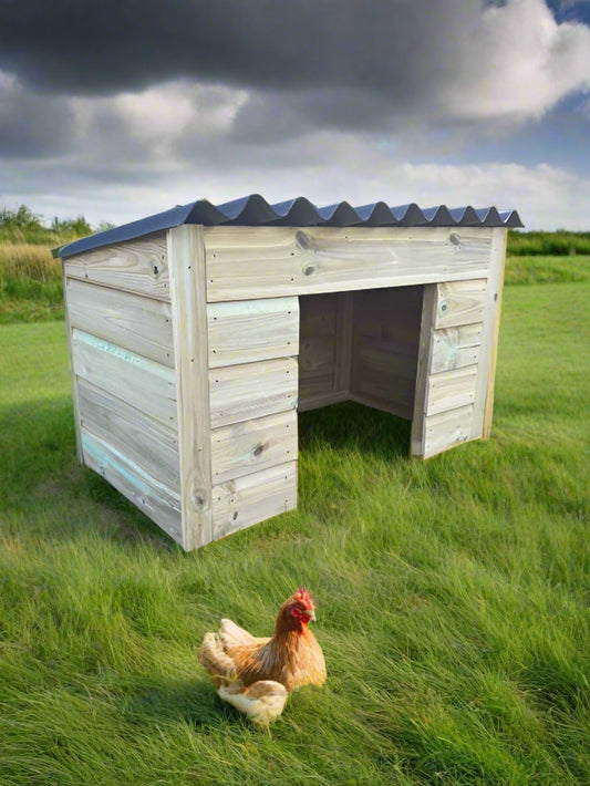 Small Chicken Shelter