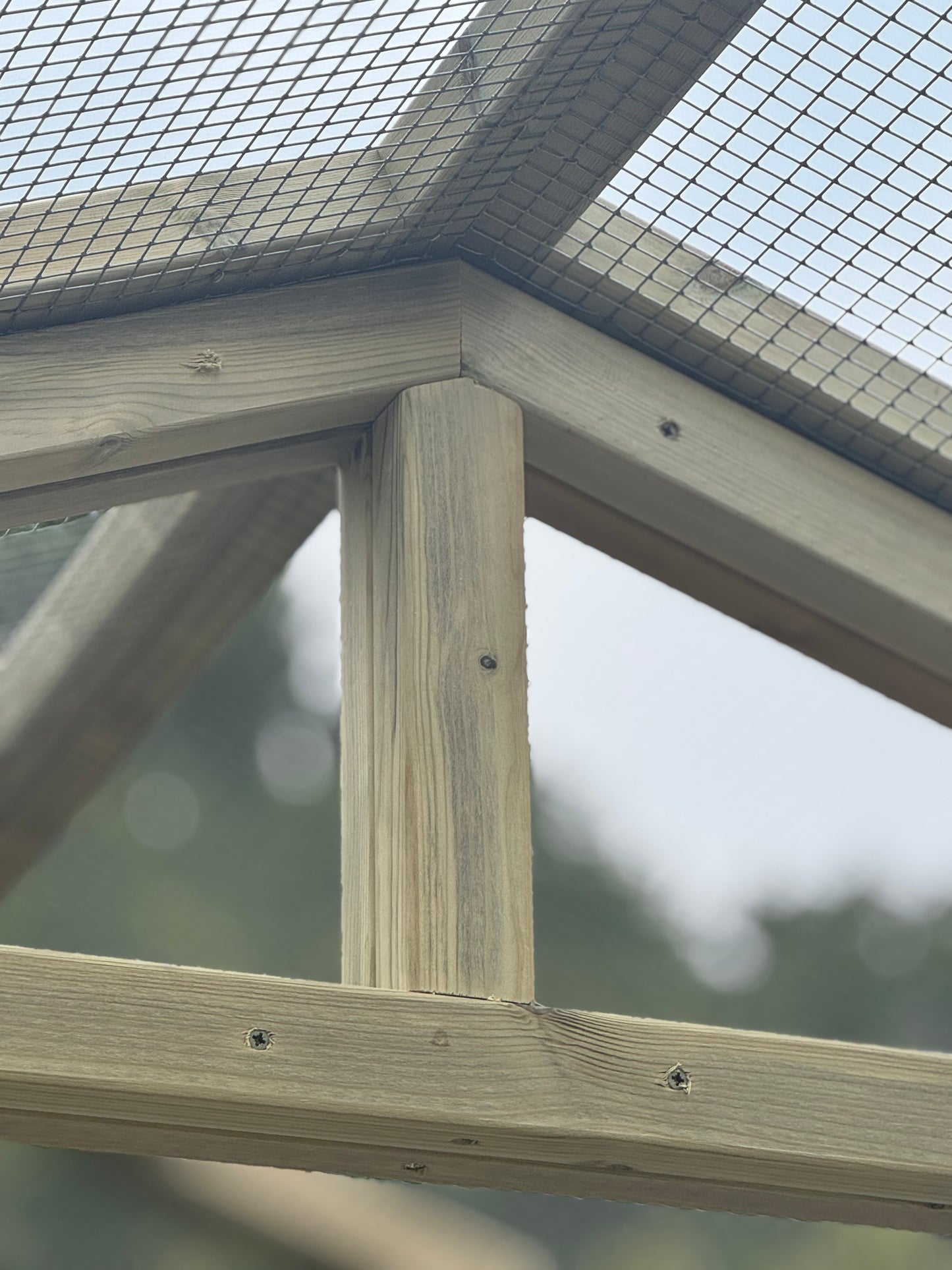 Vyse Arks Enclosed Run | Apex Roof | 9ft x 6ft | 19 Gauge Wire Mesh