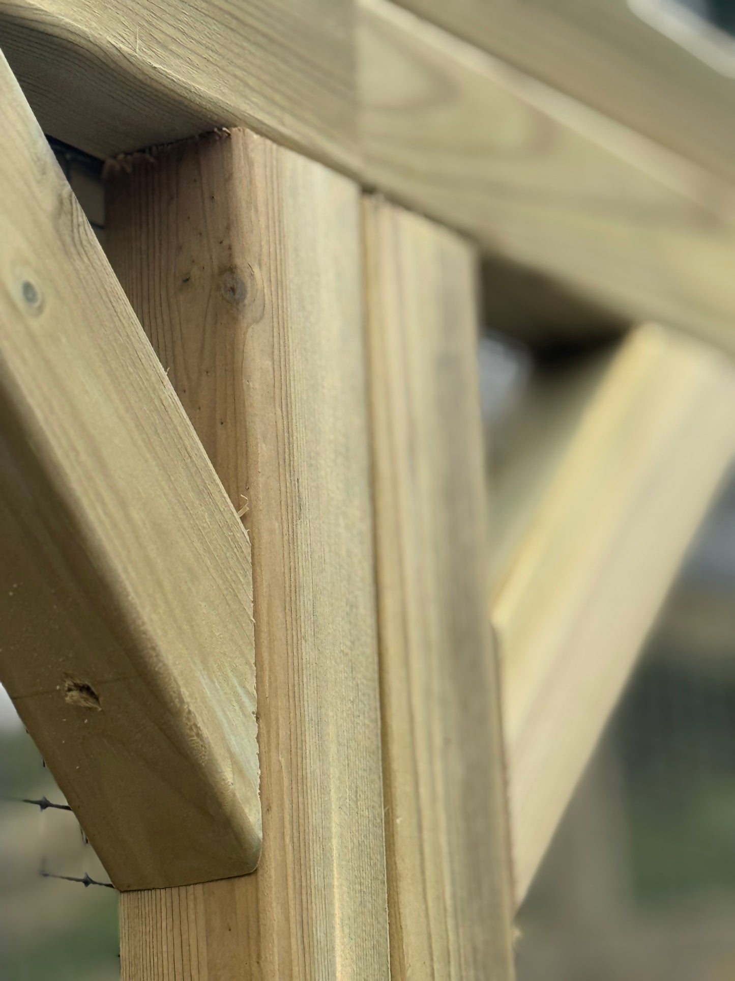 Vyse Arks Enclosed Walk In Run | Apex Roof | 21ft x 9ft | 19 Gauge Wire Mesh