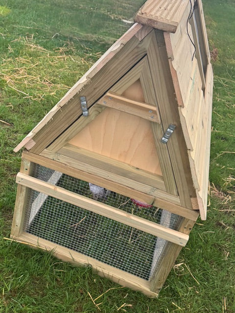 Bantam Ark | 5ft x 2ft | With Run