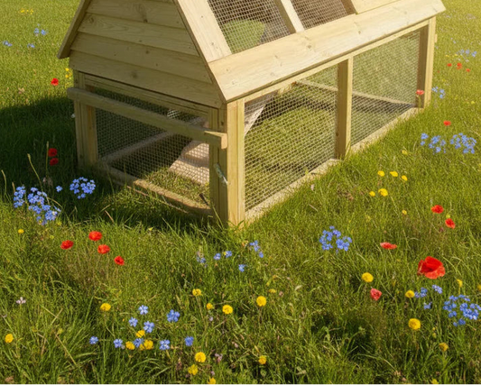 Bantam Ark Run | Add-On Attachment | 5ft x 2ft | UK Handmade | FSC Timber