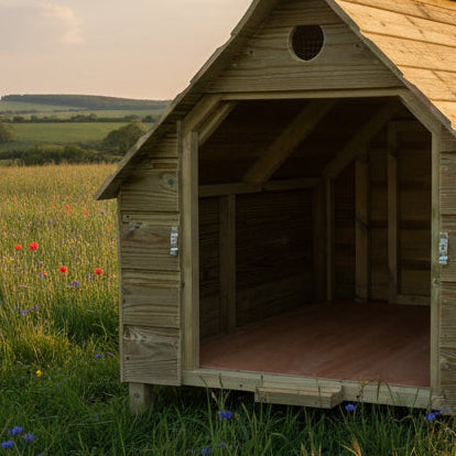 A Large Duck House