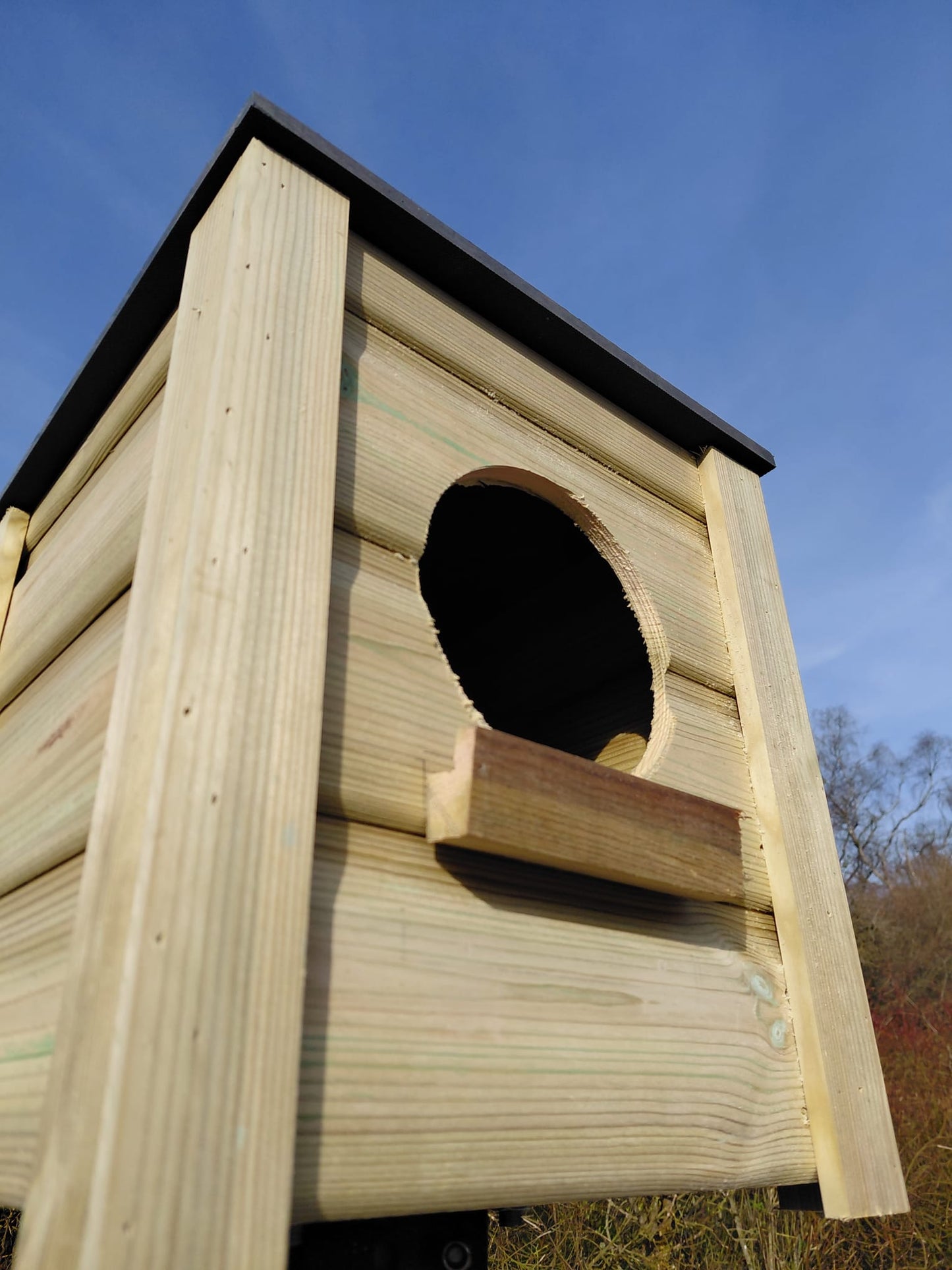 The Andholm | Elevated Nesting Sanctuary | Post & Ramp Included | Handmade in Hampshire