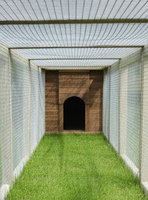 Small Chicken Coop | With 6ft Run