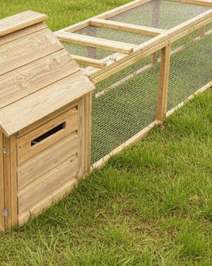 Small Chicken Coop | With 6ft Run