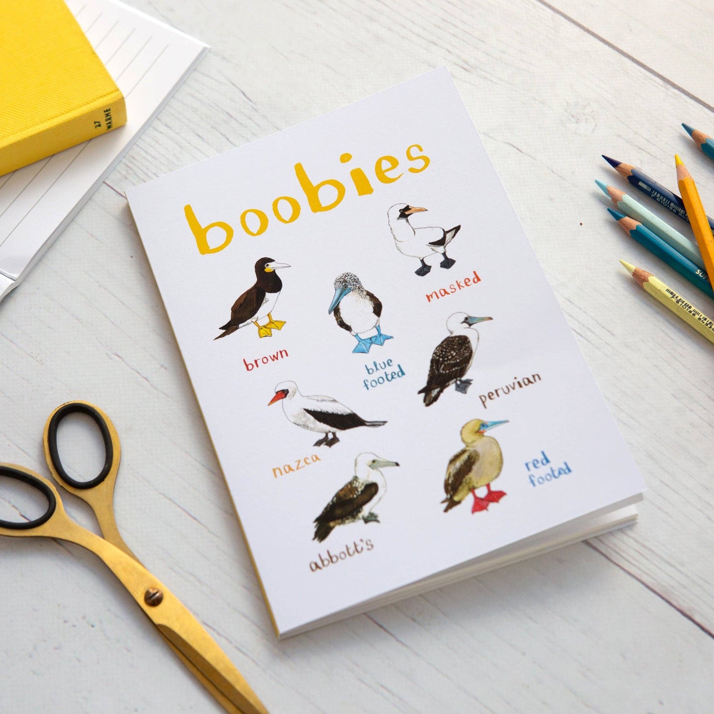 Boobies Recycled Notebook - A5