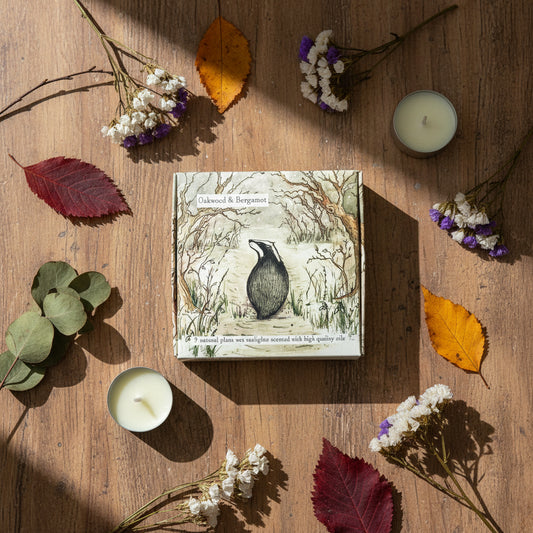 Set of tea light candles with a decorative box featuring an illustration of a badger and trees.