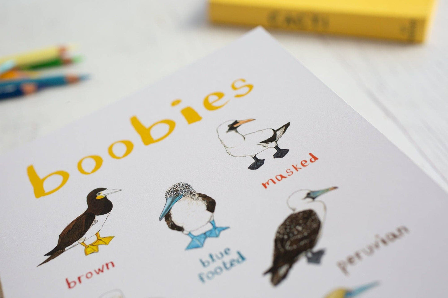 Boobies Recycled Notebook - A5