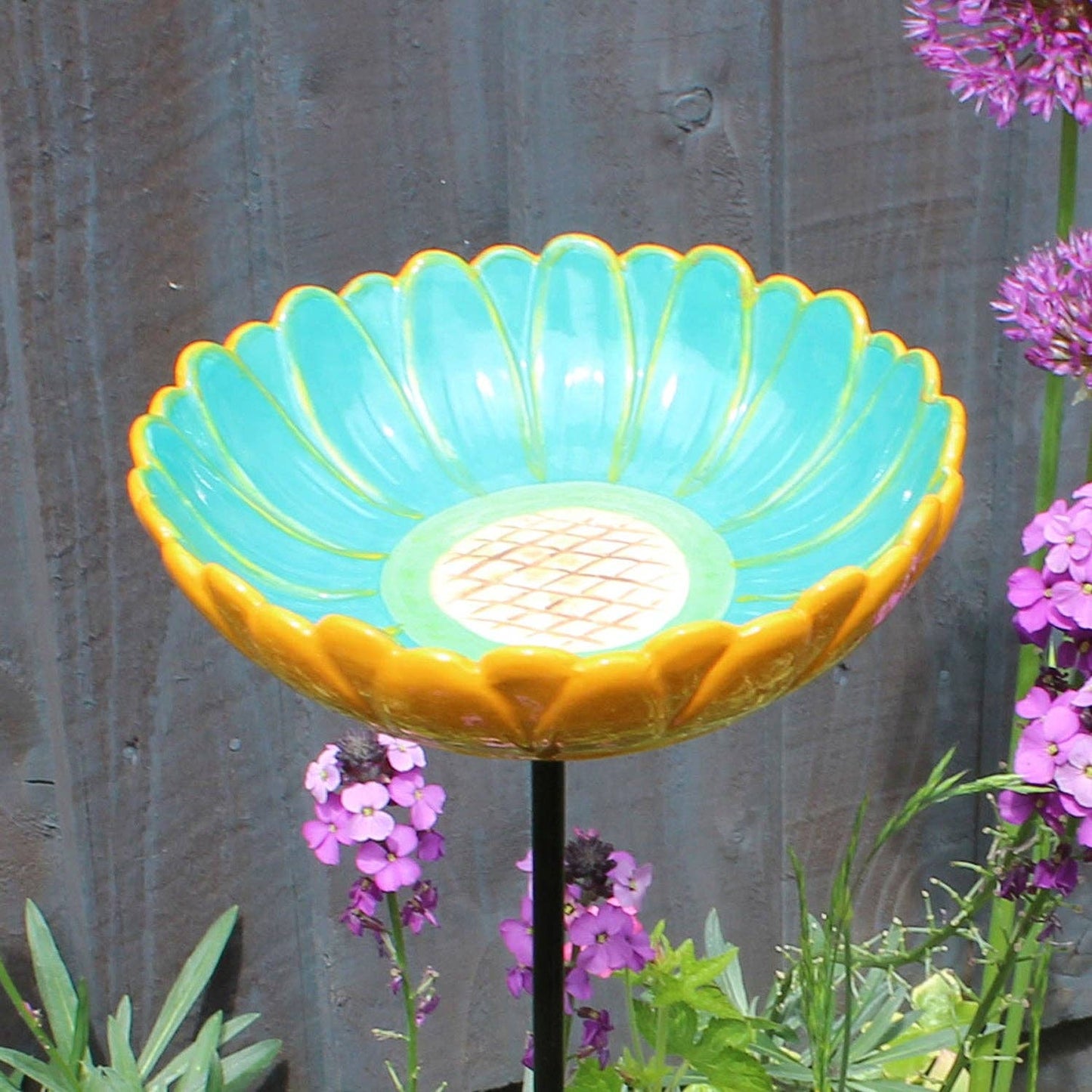 African Daisy Bird Drinker