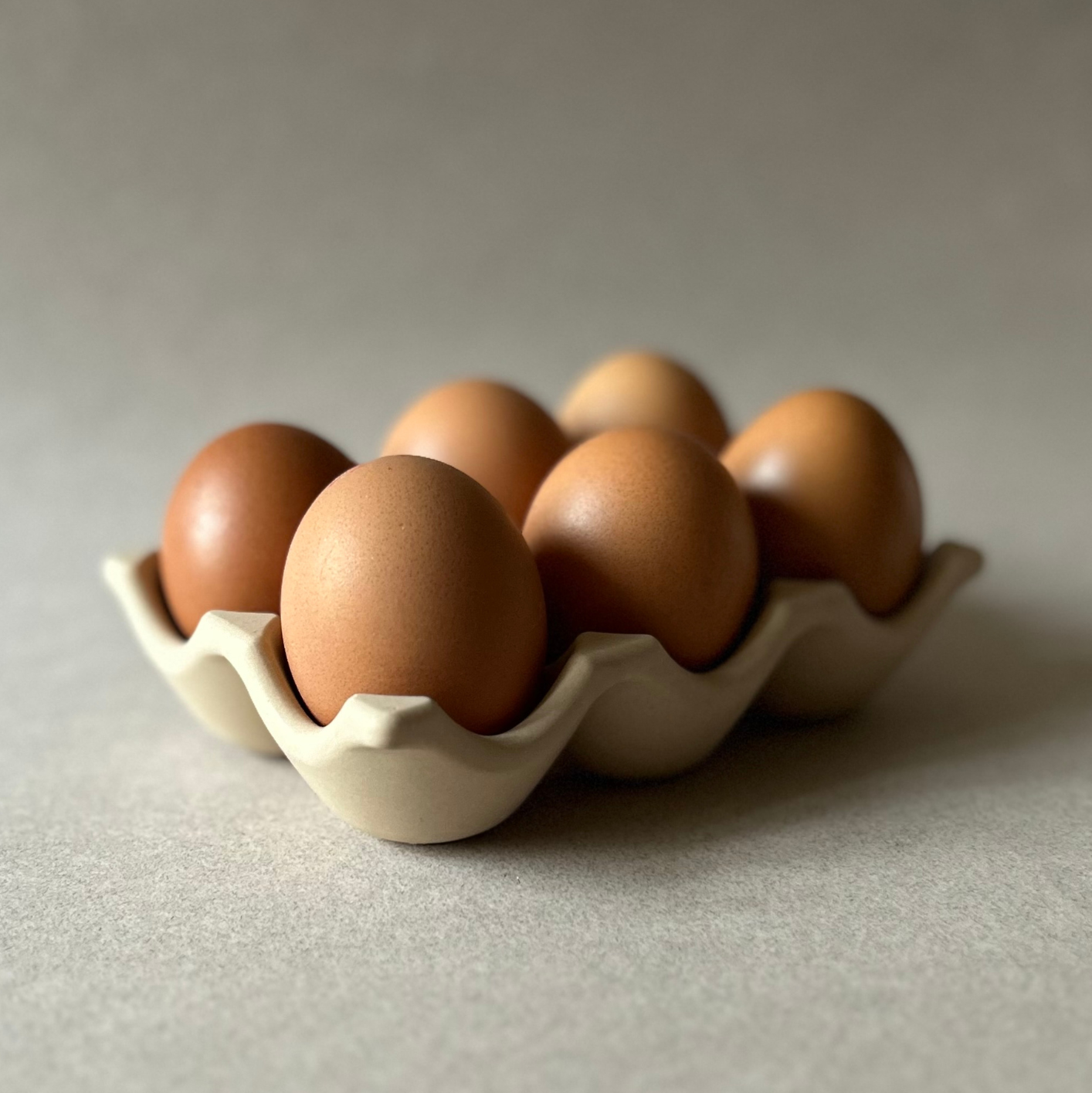 Stoneware Kitchen Egg Tray |  Minimalist Home Decor