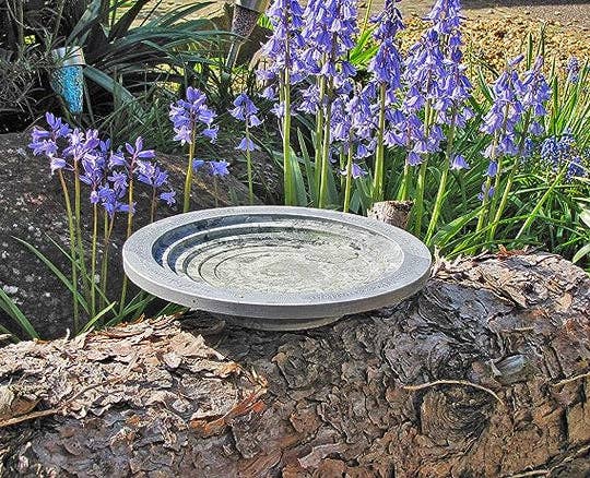 Wildlife World Aristotle Oasis Bird Bath & Drinker