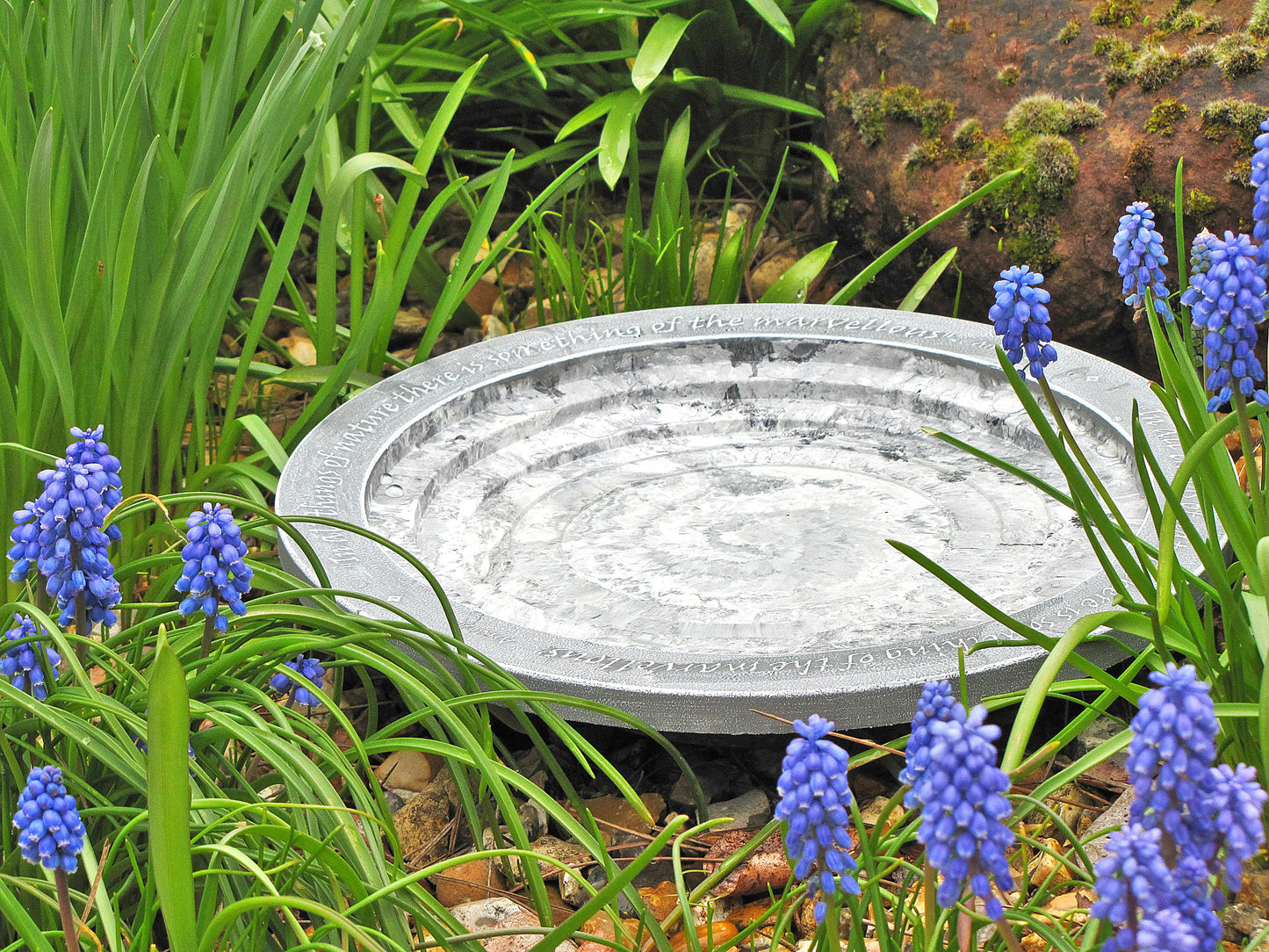 Wildlife World Aristotle Oasis Bird Bath & Drinker