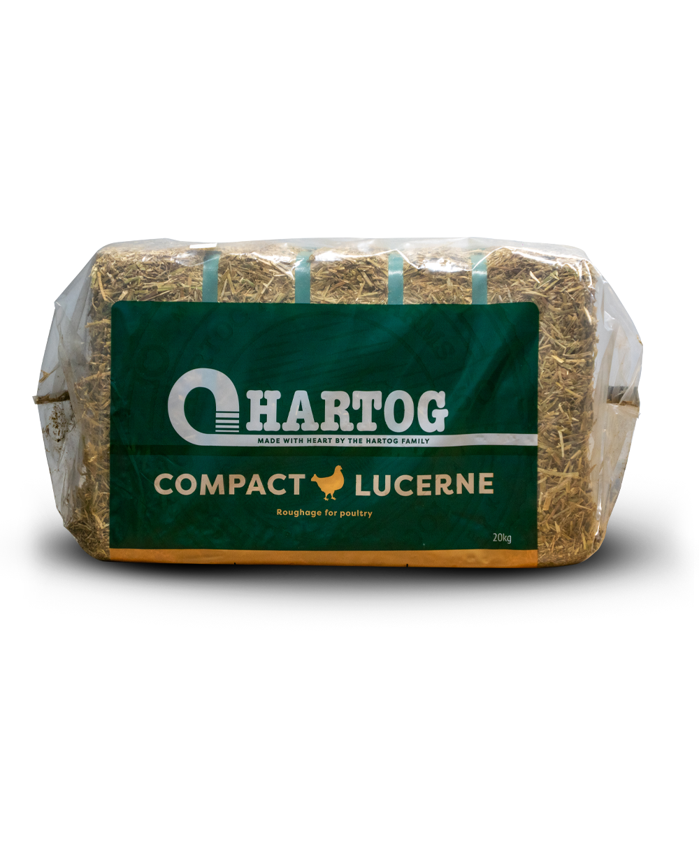 Hartog Compact Lucerne (20kg) Bale