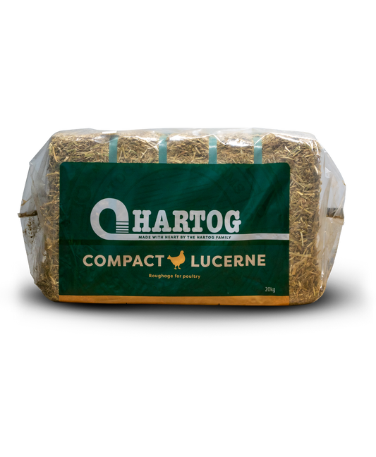 Hartog Compact Lucerne (20kg) Bale